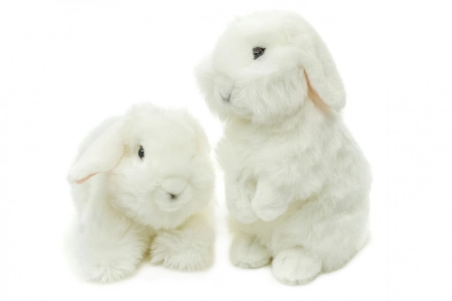 White Plush Rabbit