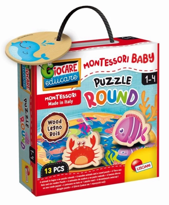 Montessori Wooden Circle Puzzle