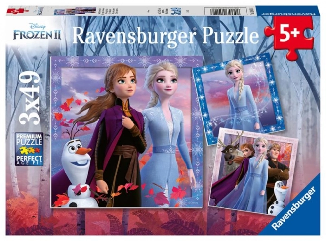 Frozen 2 Jigsaw Puzzle Set