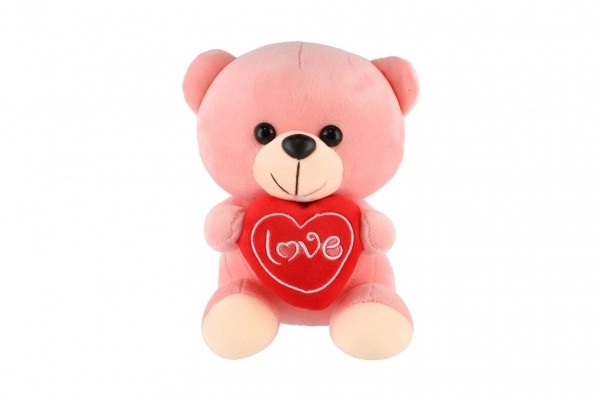 Plush Bear with Heart 19cm