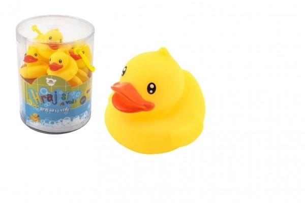 Rubber Bath Duck Toy Set