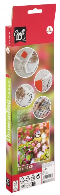 Diamond Painting Kit 30x30cm