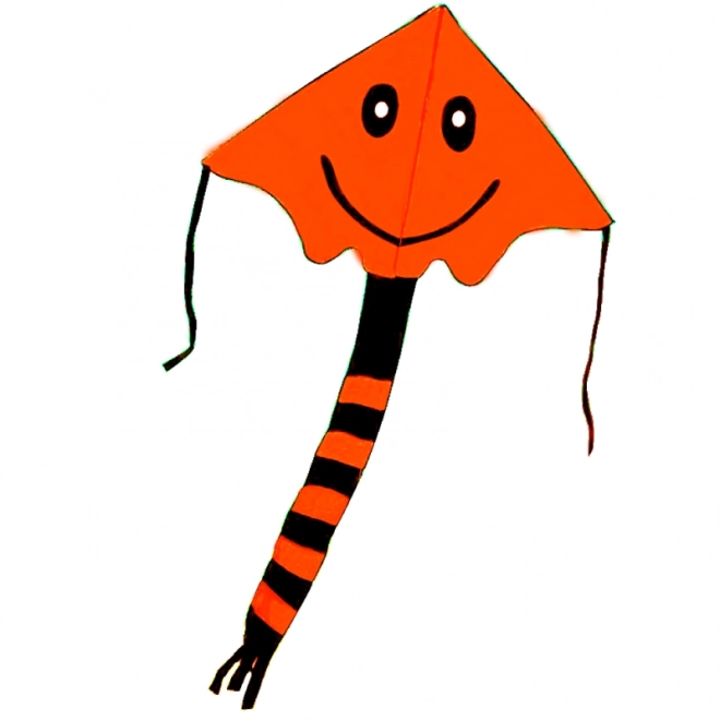 Flying Kite with Face Design