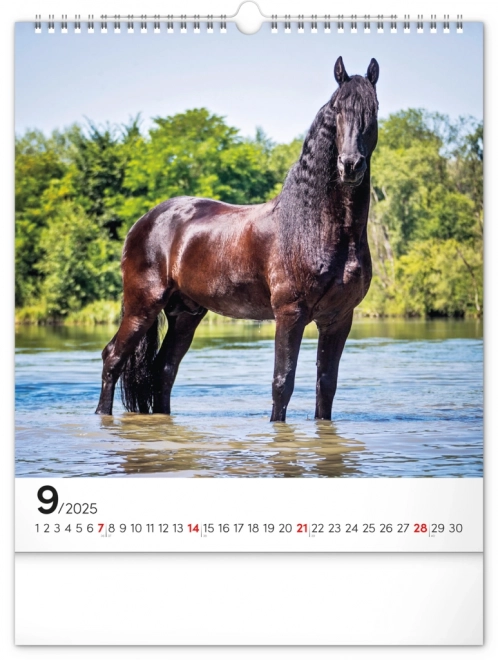 Wall Calendar Horses 2025