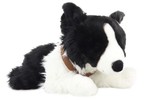 Plush Border Collie