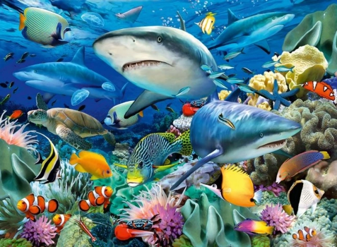 Shark Reef Puzzle 100 Pieces