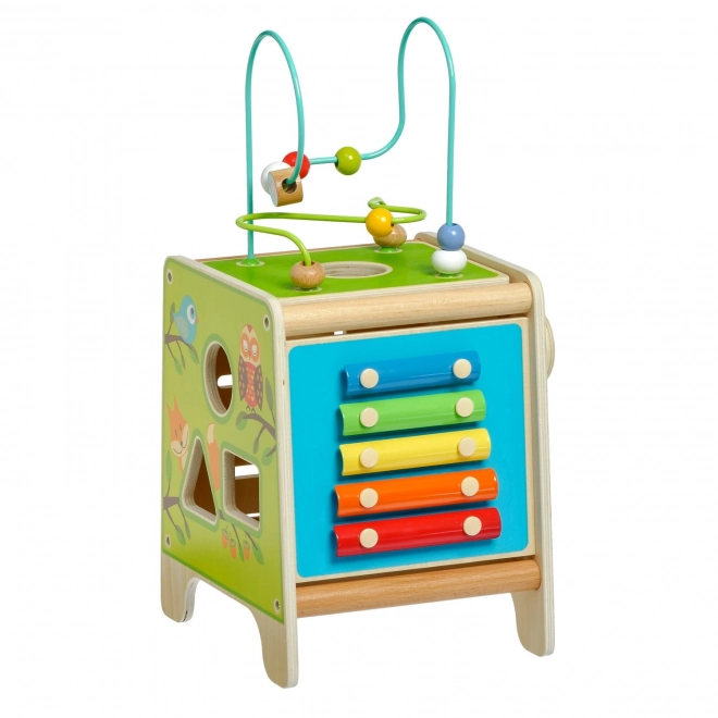 Lucy's Wooden Activity Cube with Xylophone