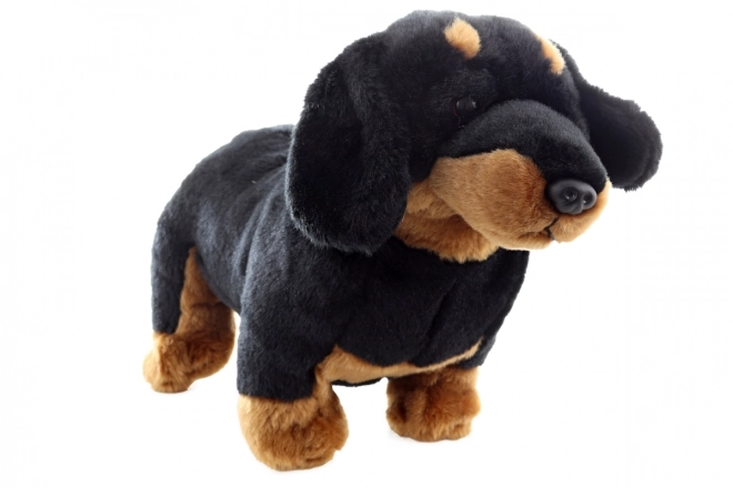 Eco-friendly Plush Dachshund