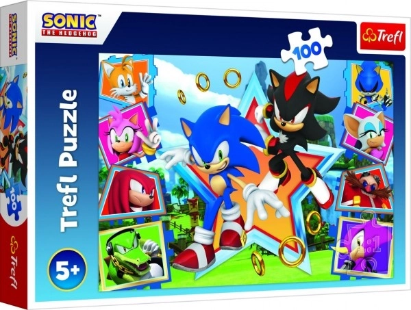 Sonic 100 Piece Puzzle