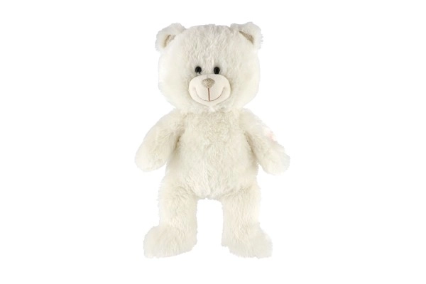 Dreamy White Teddy Bear with Light and Sound