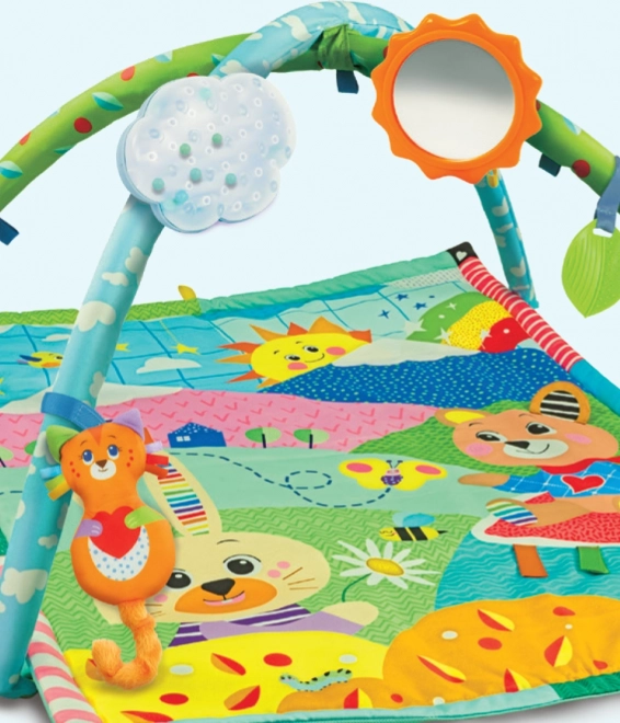 Baby Play Mat with Gym My First Discoveries