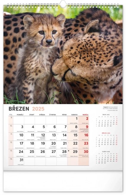 Notique Wall Calendar Most Interesting Animals 2025