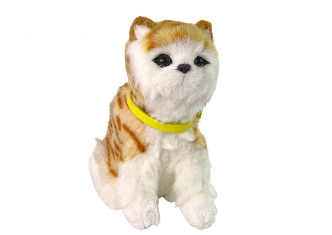 Interactive Plush Cat Toy