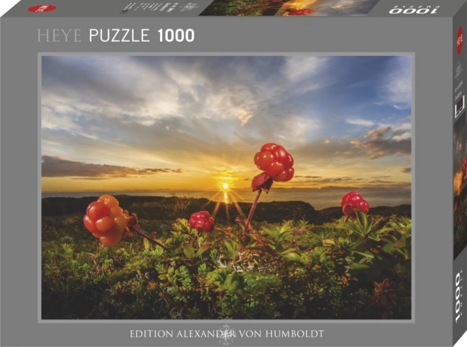 Heye Blackberry Cloudberry Puzzle 1000 Pieces