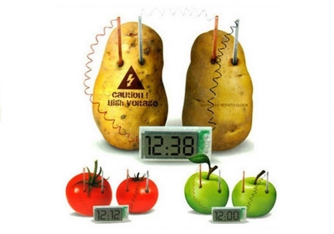 Creative Science Experiment Eco Clock from Potato