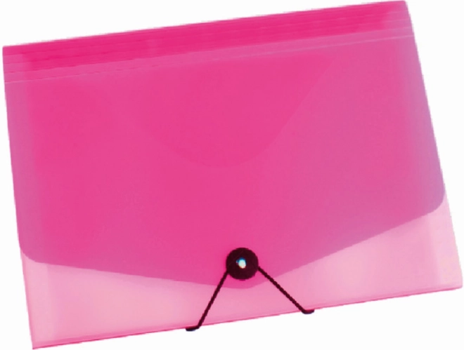 document organizer with elastic A4 in pink