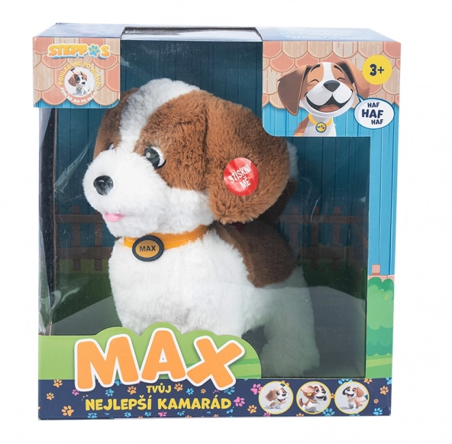 Interactive Pet Max