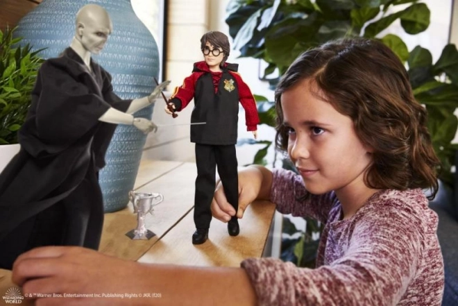 Harry Potter vs Voldemort Dolls 2-Pack