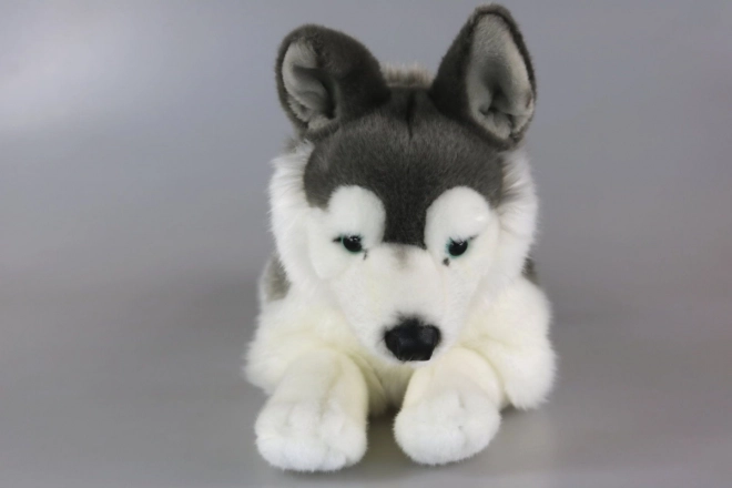 Plush Husky Dog Toy