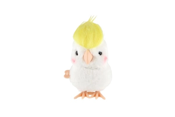 Wind-Up Parrot Toy