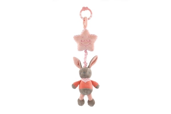 Musical Bunny Plush Toy