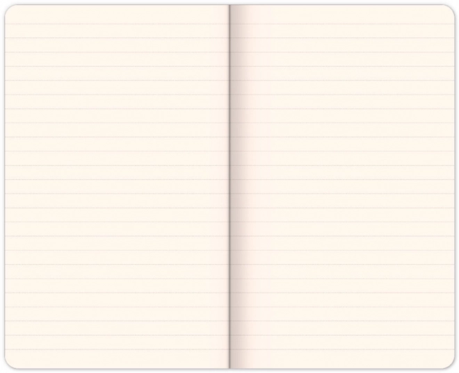Notes Batman – Wham, lined, 13 x 21 cm