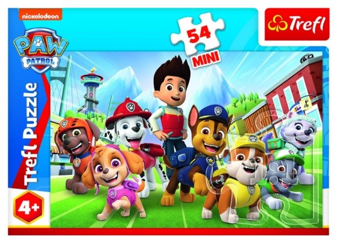 Paw Patrol Mini Puzzle Box