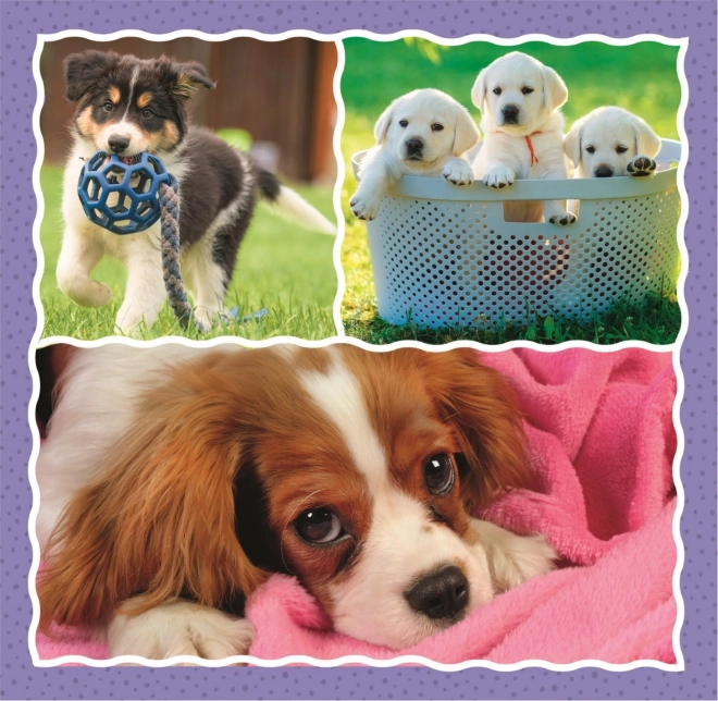 Adorable Dogs 3-in-1 Puzzle