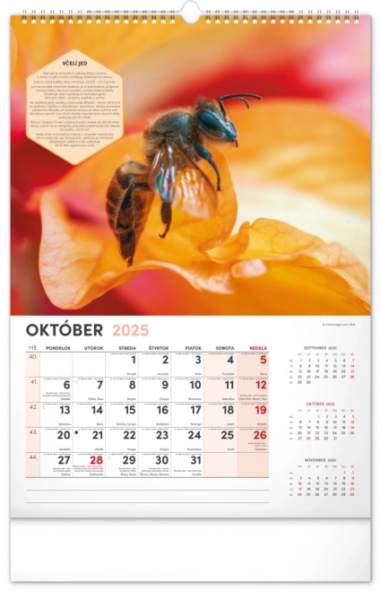 Wall Beekeeper Calendar 2025