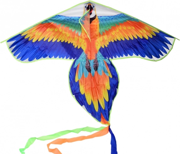 Realistic bird look and bold colors