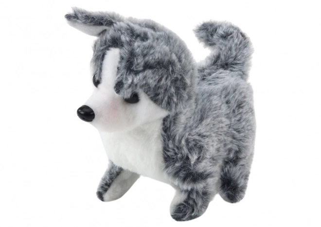 Interactive Husky Dog Toy with Sound and Movements