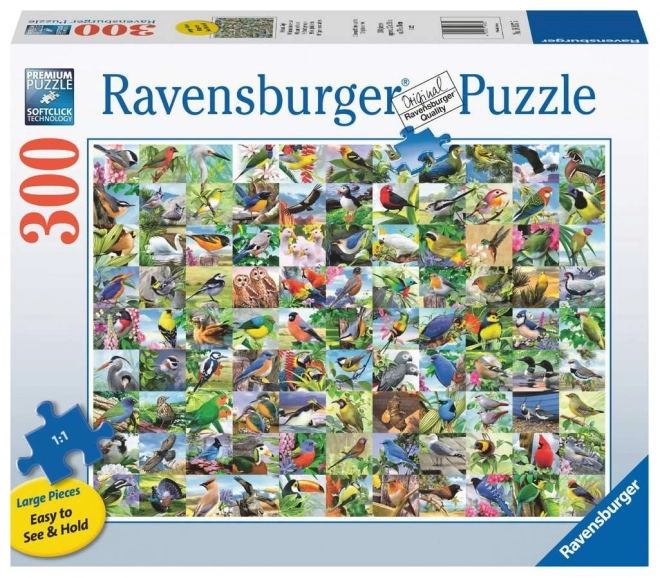 Ravensburger Puzzle 99 Enchanting Birds