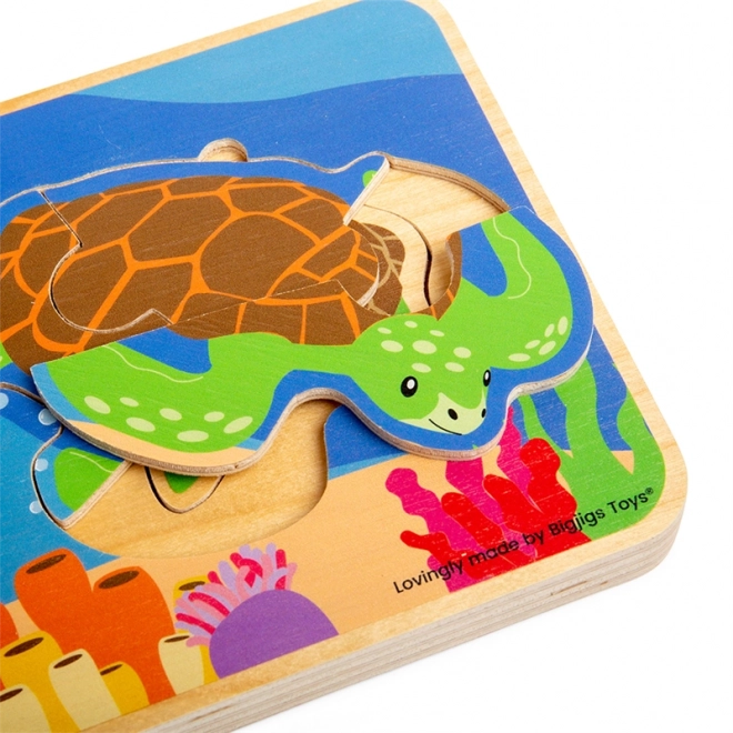 Wooden Turtle Life Cycle Puzzle