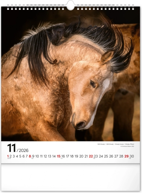 Vægkalender Heste 2026