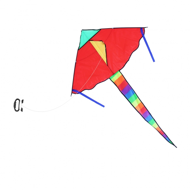 Colorful Nylon Kite