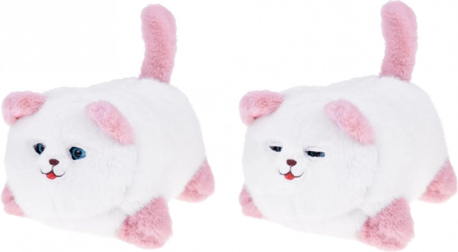 Interactive Cat Pusia