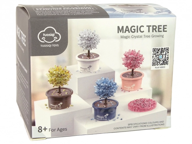 Magic Crystal Growing Kit