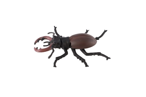 Common Stag Beetle Toy 8cm