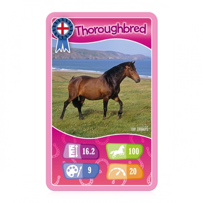 Card Game Horses and Unicorns