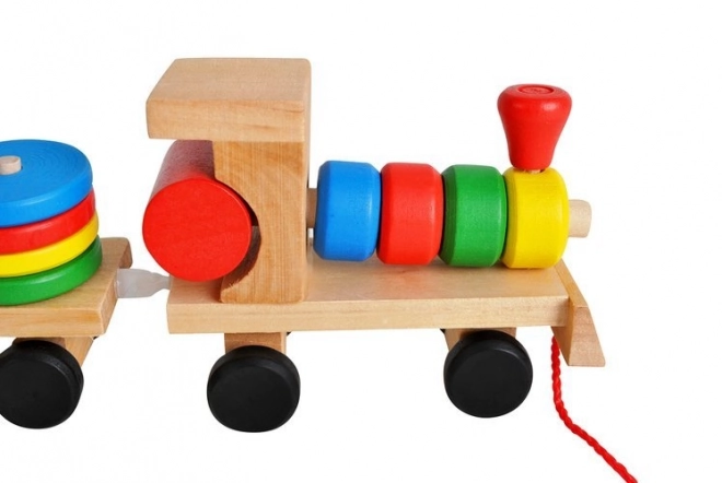 Wooden Train Puzzle and Sorter