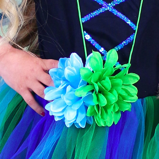 Peacock Fairy Costume for Girls