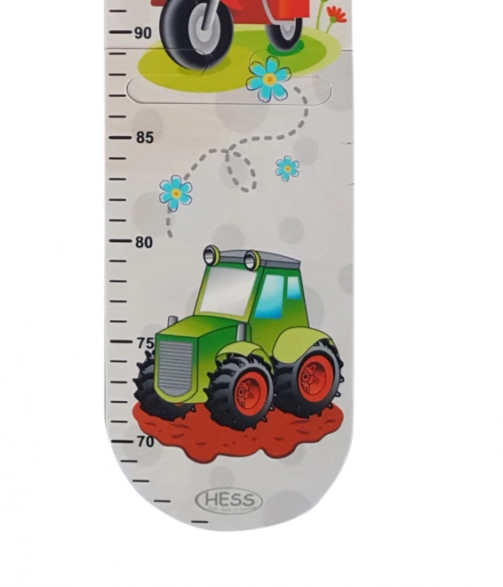 Children's Growth Chart with Vehicles Design