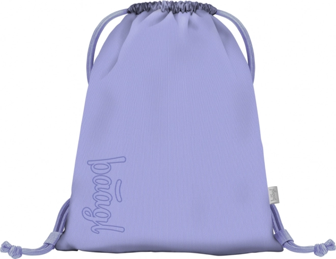 Lilac Bag for Shoes or Accessories