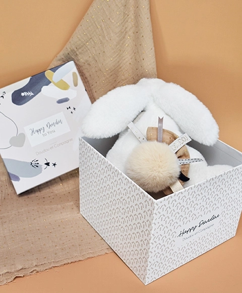 Gift Set - Plush Rabbit with Beige Pom Pom