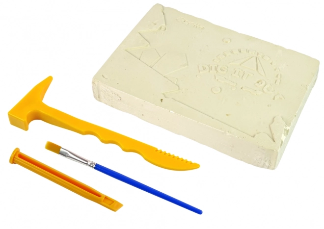 Marine Fossil Discovery Kit