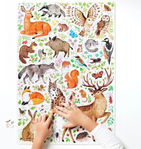 Poster con curiosità sulla natura