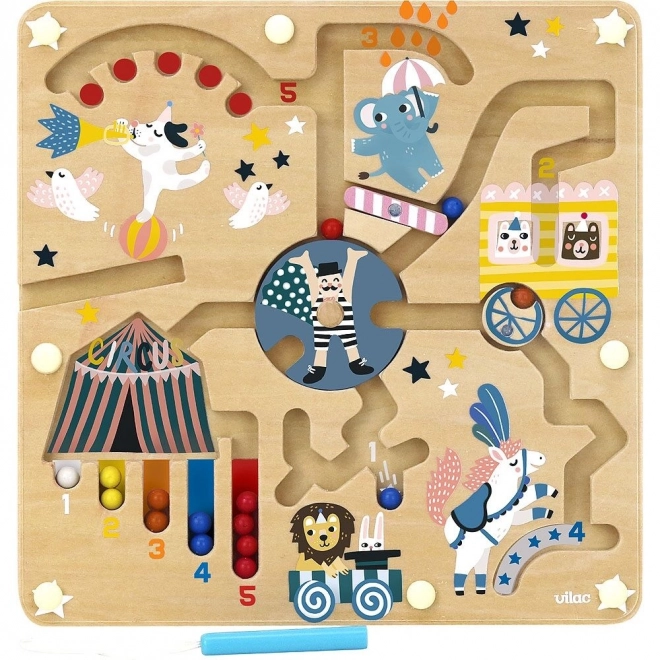 Magnetic Circus Maze by Michelle Carlslund