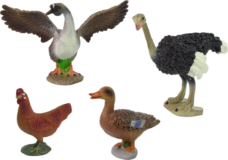 Realistic farm bird figurines