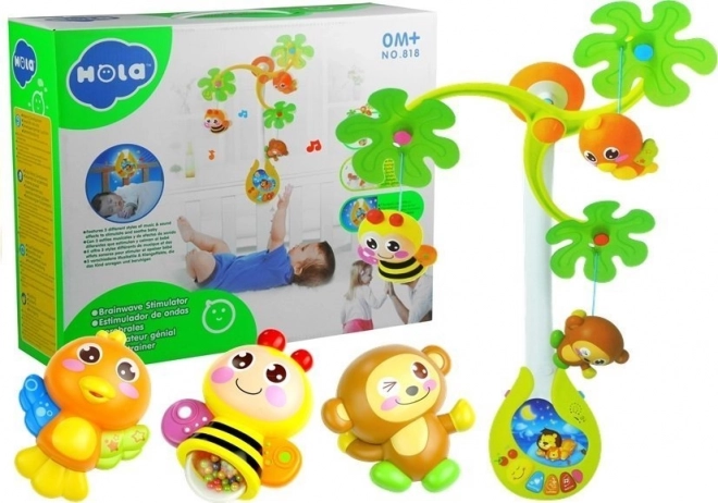 Musical Mobile Baby Rattles