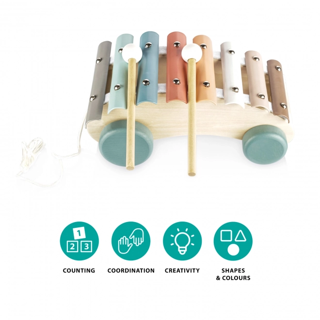 Wooden Pull-Along Xylophone for Kids